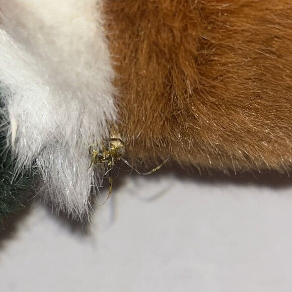 Mallard Duck Plush Soft Classics Green Brown Cream Fussy Wings Approx 10" tall - Picture 11 of 13